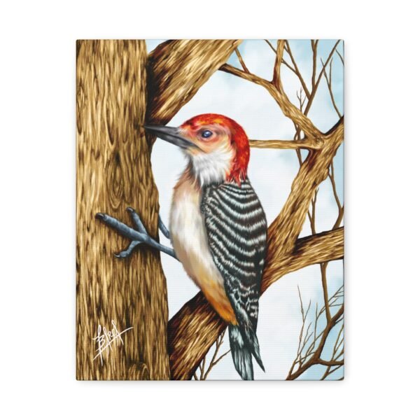 Red-Headed Woodpecker Canvas Art - Stretched Matte Wall Decor - Image 5