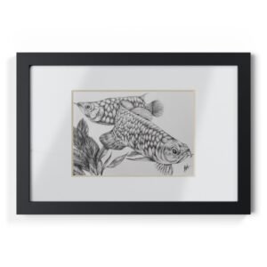 Framed Posters - Fish Artwork in Graphite