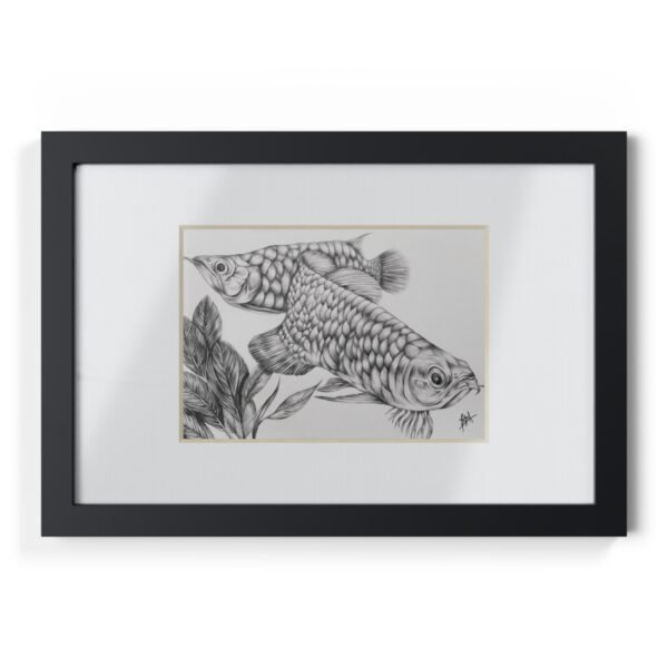 Framed Posters - Fish Artwork in Graphite