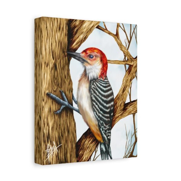 Red-Headed Woodpecker Canvas Art - Stretched Matte Wall Decor - Image 2