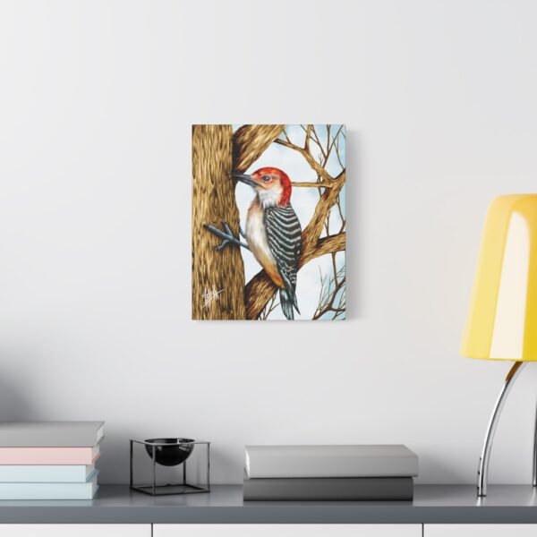 Red-Headed Woodpecker Canvas Art - Stretched Matte Wall Decor - Image 7