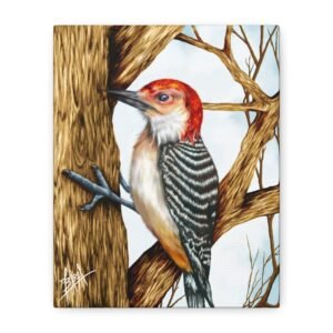 Red-Headed Woodpecker Canvas Art - Stretched Matte Wall Decor