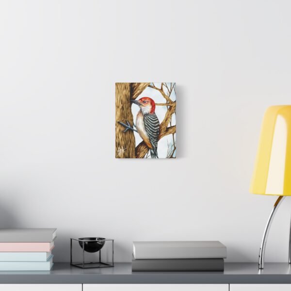 Red-Headed Woodpecker Canvas Art - Stretched Matte Wall Decor - Image 3