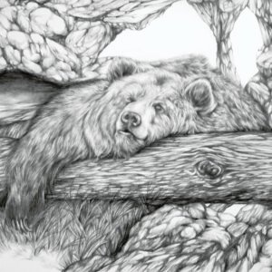 Lazy Bear
