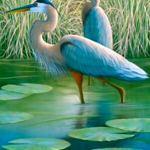 Blue Herron