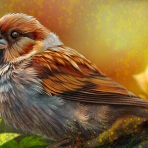 Brown Finch