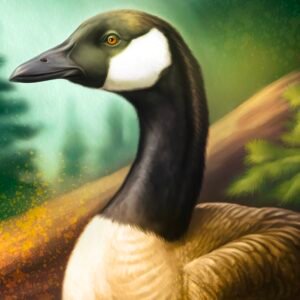 Canadian Goose