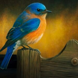 Bluebird
