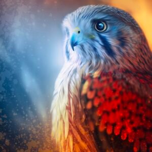 Colorful Hawk