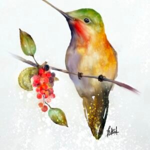 Hummingbird Watercolor