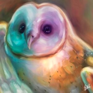 Colorful Owl