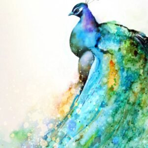 Peacock Watercolor