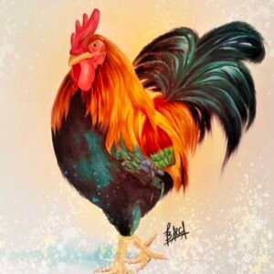 Rooster