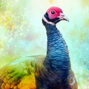 Wild Turkey Watercolor