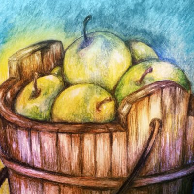 Bucket of Apples Watercolor Pencil Print