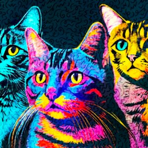 Cat 3 Musketeers
