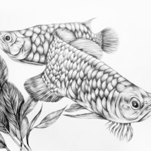 Feng Shui Fish