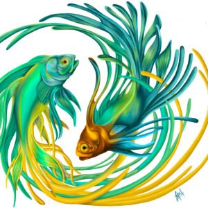 Fish Yin Yang White