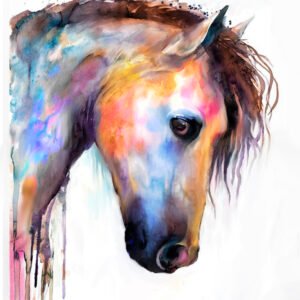 Water Wash Horse