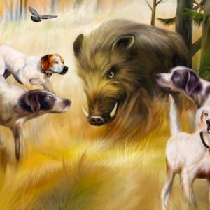 Boar Hunting
