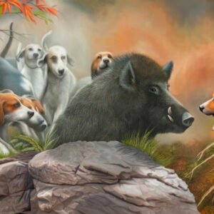 Boar Hunting with Dogs