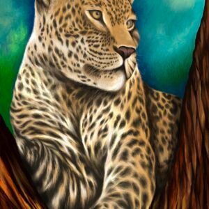 Leopard