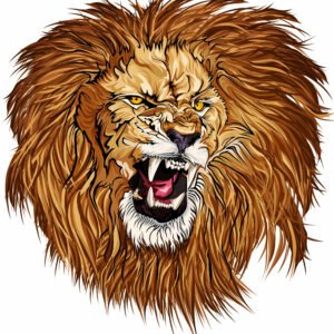 Lion Illustration