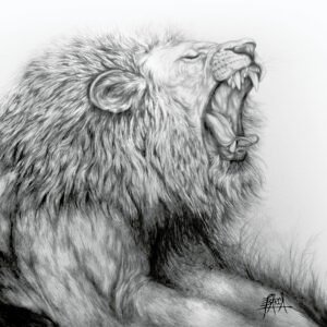 Lion Roar
