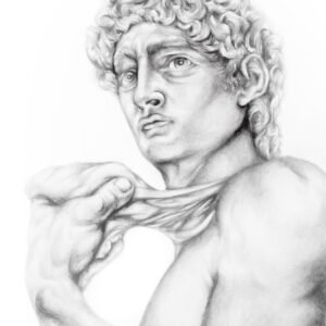 David