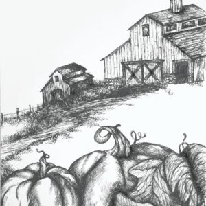 Pumkin Patch