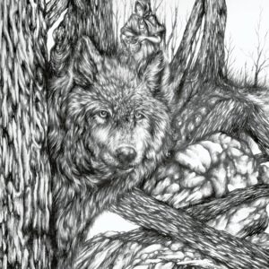 Red Riding Hood