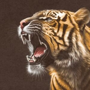 Tiger Roar 1